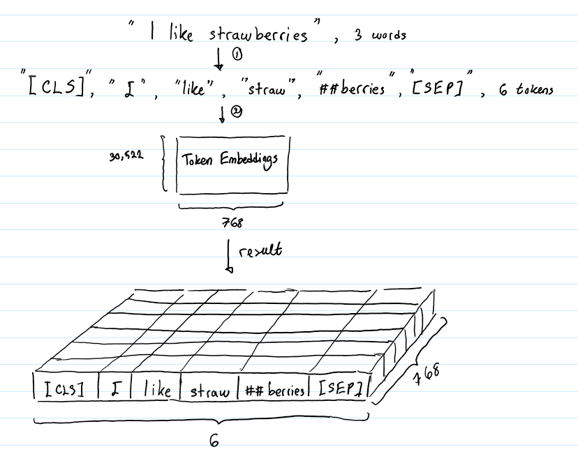 token embedding